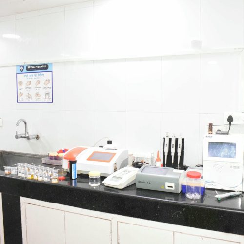 LAB 2 (real-image)