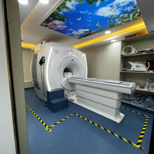 MRI GE-1.5 Tesla (real-image)